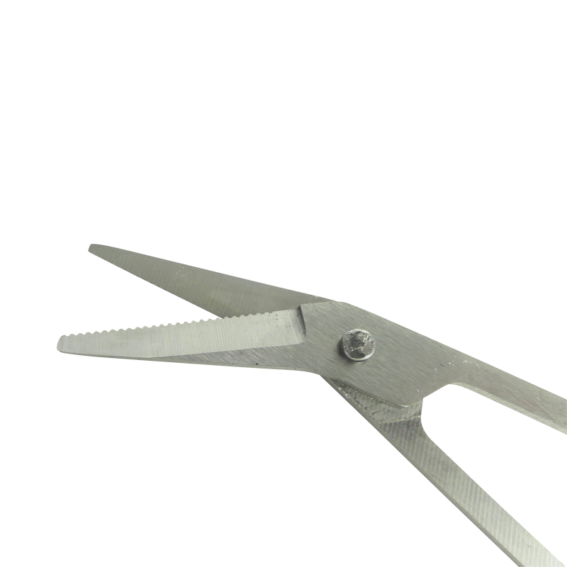 Coupe-ongles Easy detail crans