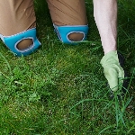Protège-genoux mousse visco, utilisation jardinage