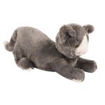 Chat-leste-pour-calmer-enfant-842054