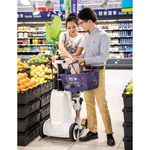 Fauteuil-roulant-verticalisateur-electrique-ROBOOTER-XZ-DROID-SMART-875041