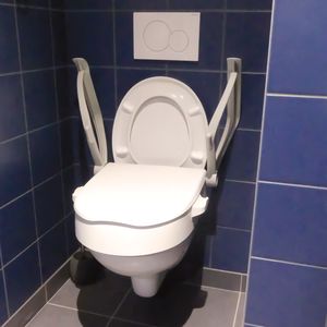 Tahiti Raised Toilet Seat with Armrests