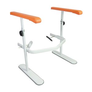 Smart Toilet Armrests