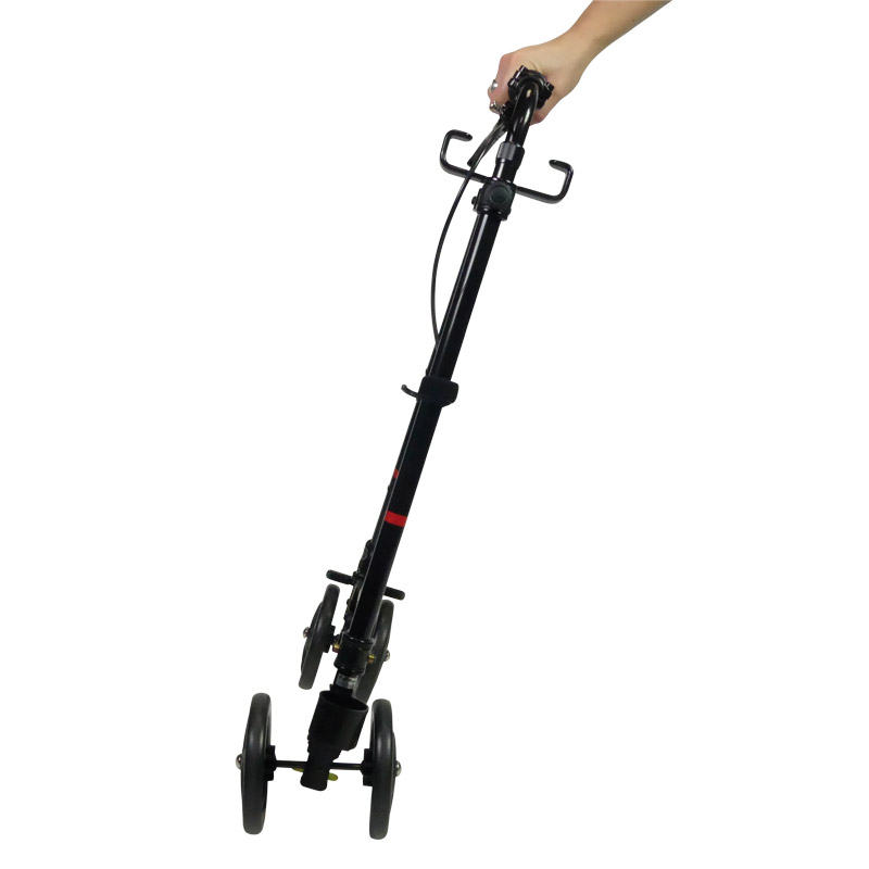 Canne-de-marche-avec-roues-816089